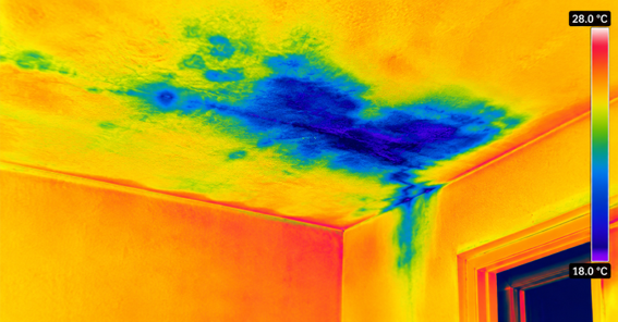 Waterproofing Failure found during inspection