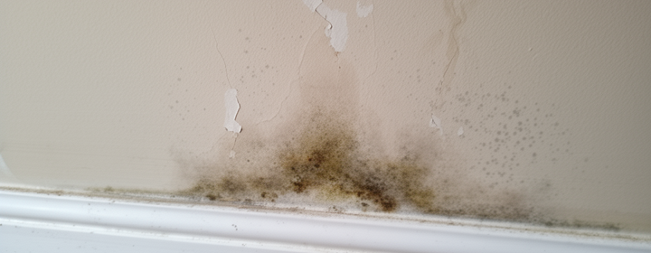 Water Seepage found during inspection